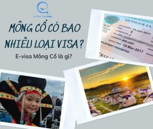 mong co co bao nhieu loai visa