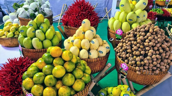 Không được mang rau củ và trái cây tươi vào Mỹ