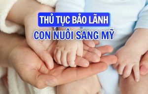 Bảo lãnh con nuôi sang Mỹ
